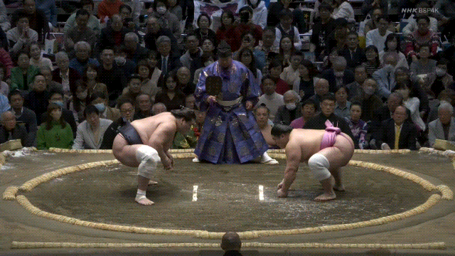 Grand Sumo: Terunofuji vs. Ura.