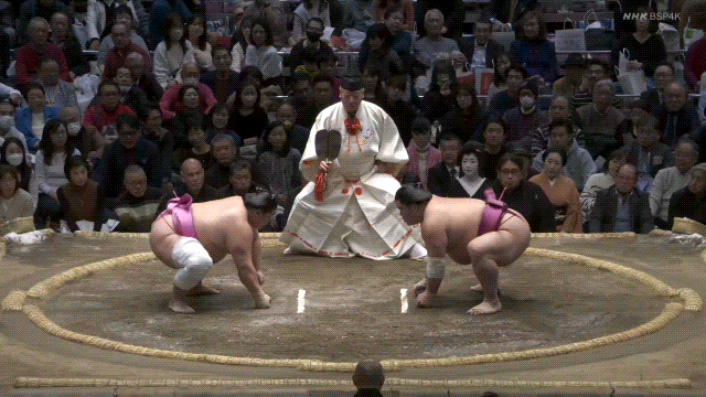 Grand Sumo: Daieisho vs. Ura.