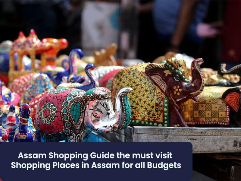 Assam Shopping guide - the must visit shopping places in Assam for all budgets