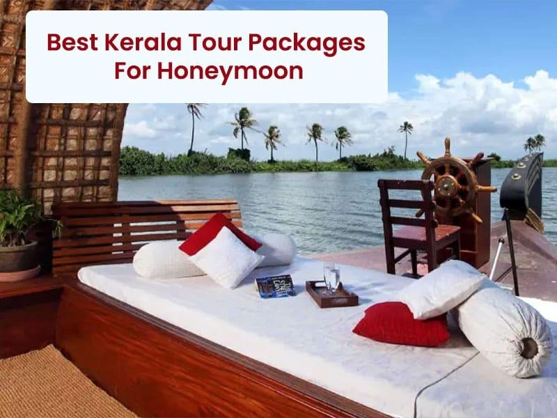 Best Kerala Tour Packages For Honeymoon