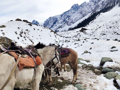 6 Days 5 Nights kashmir Tour Package