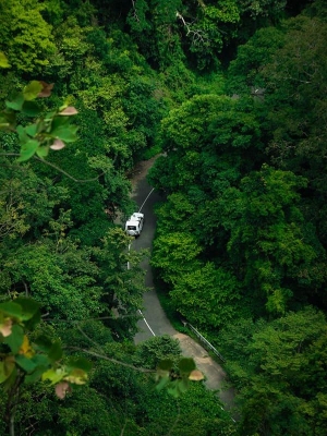 Family Getaway kerala Tour Package for 2 Days