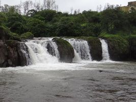 Lingamala Falls