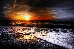 Top 5 places for sightseeing in Munnar that you must visit