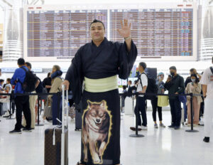 Sumo wrestlers turned away from flight over weight concerns