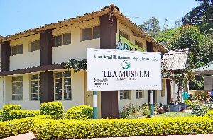KDHP Tea Museum