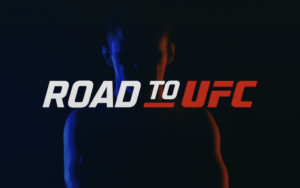 Top prospect Rei Tsuruya shines in tournament win: Road to UFC Season 2 finals – Full results, video highlights