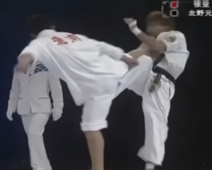 WTF – Dazzling martial arts duel between Tai Chi and Karate